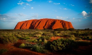 Wild Australia