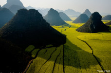 Green nature in Italy