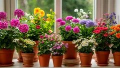 In inverno i fertilizzanti possono rovinare le tue piante! A cosa fare attenzione per salvare i tuoi fiori preferiti