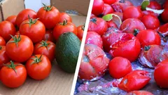 Perché le verdure si rovinano in frigorifero il doppio più velocemente del dovuto