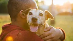 Sei sicuro che il tuo cane sia felice? Controlla questi 5 segnali