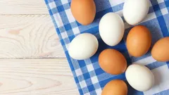 Si possono mangiare le uova ogni giorno? E cosa succede all’organismo